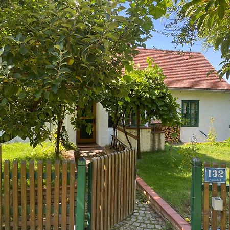 Landhaus Nitsch Appartement - Gaestehaus Nitsch Appartement Prinzendorf an Der Zaya 外观 照片