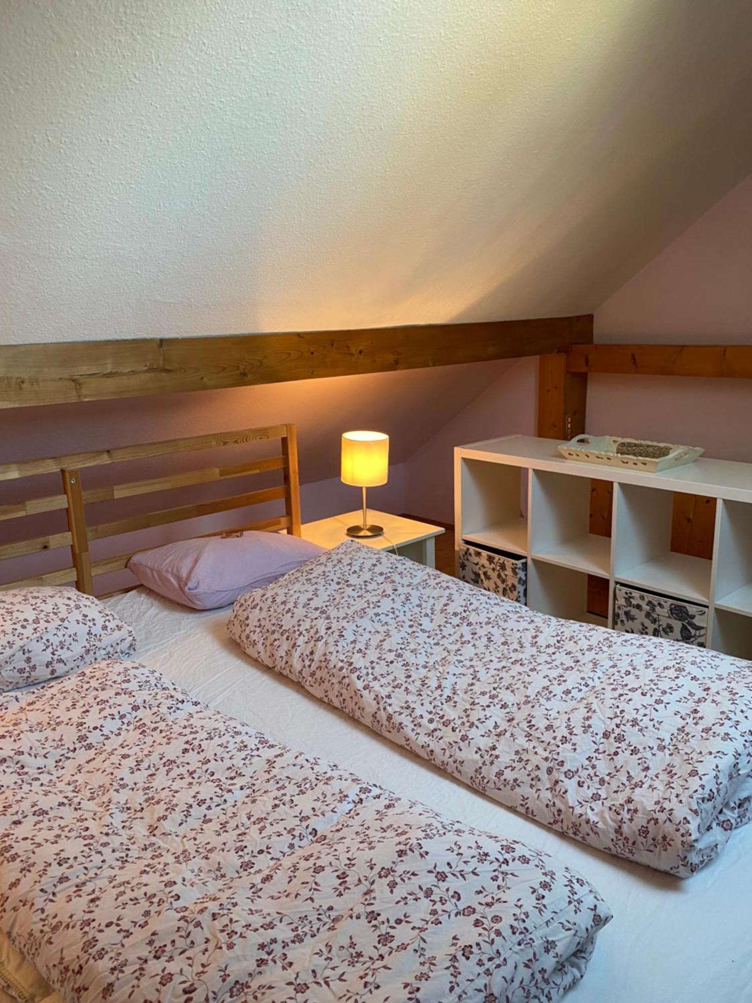 Landhaus Nitsch Appartement - Gaestehaus Nitsch Appartement Prinzendorf an Der Zaya 外观 照片