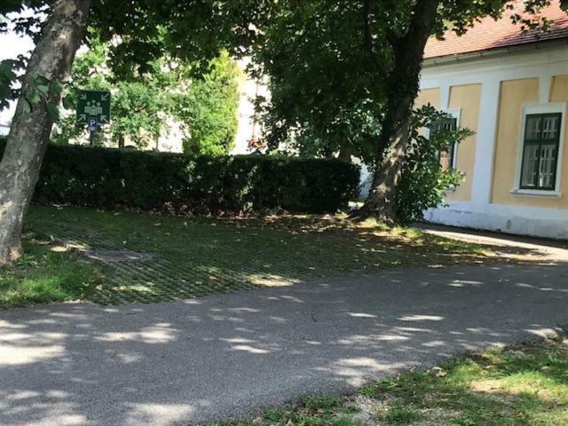 Landhaus Nitsch Appartement - Gaestehaus Nitsch Appartement Prinzendorf an Der Zaya 外观 照片